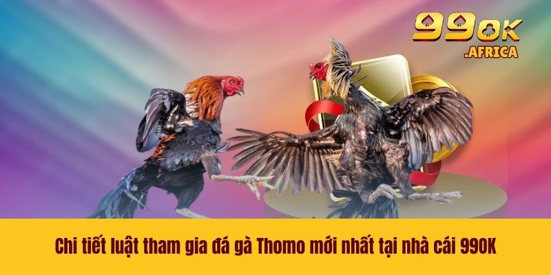 Đá Gà Thomo - Bộ Môn Cá Cược Thú Vị Đình Đám Nhất Năm 2026 3 Chi tiết luật tham gia đá gà Thomo mới nhất tại nhà cái 99OK